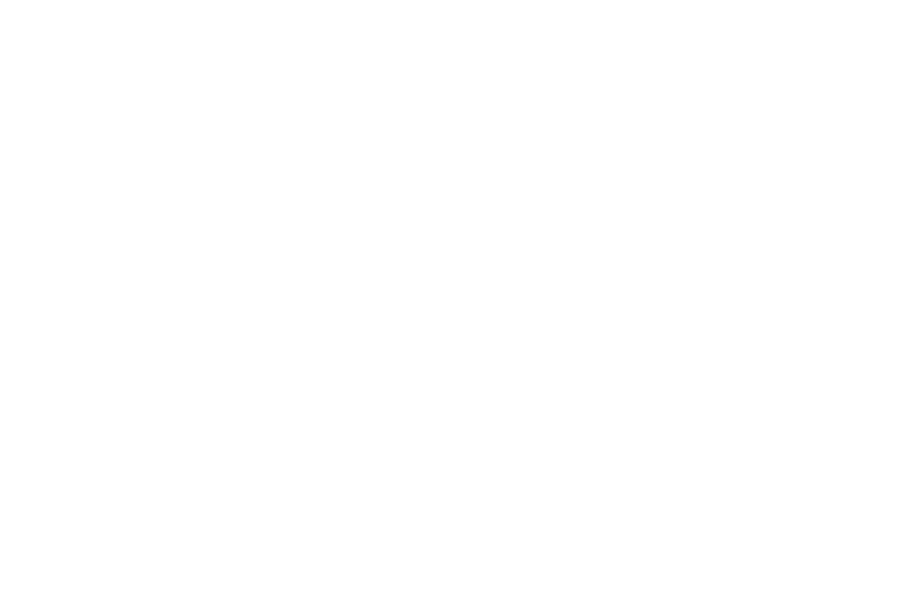 Logo Lai Automobili White